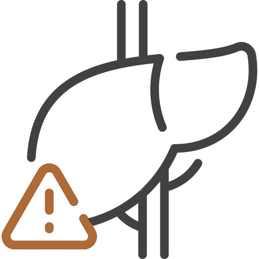 Icon Depicting Liver Damage