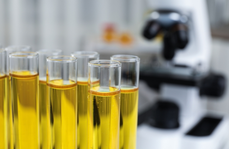 Urine Drug Testing