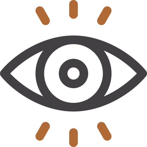 visual disturbances