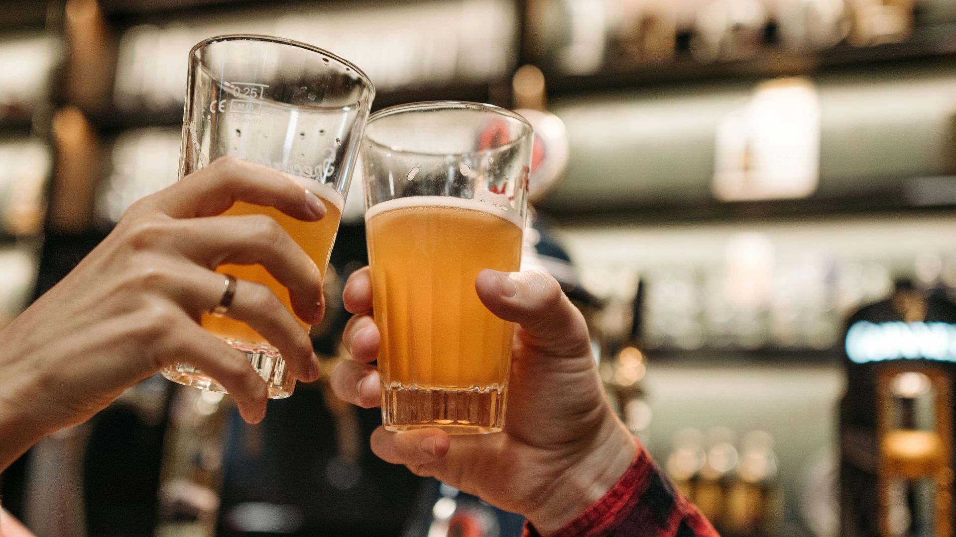 hands holding glasses of beer